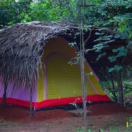 Sigiri Jungle Camping Hotel Sigiriya Bagian luar foto