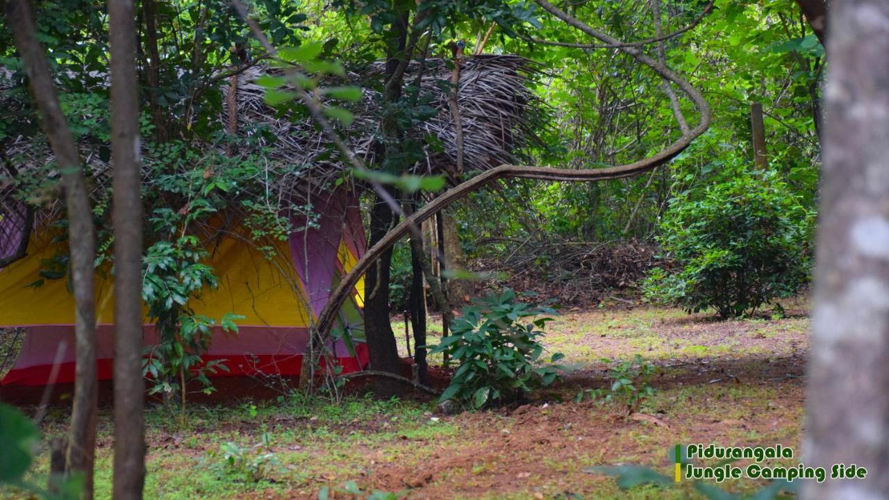 Sigiri Jungle Camping Hotel Sigiriya Bagian luar foto